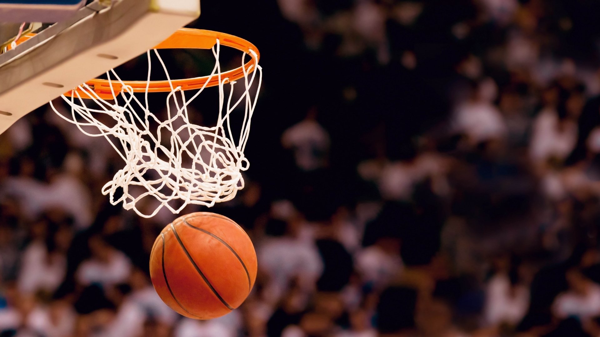 体育界一夜疯狂！Rookie瑞士问鼎，费耶诺德破纪录，山东泰山竟备战NBA总决赛？